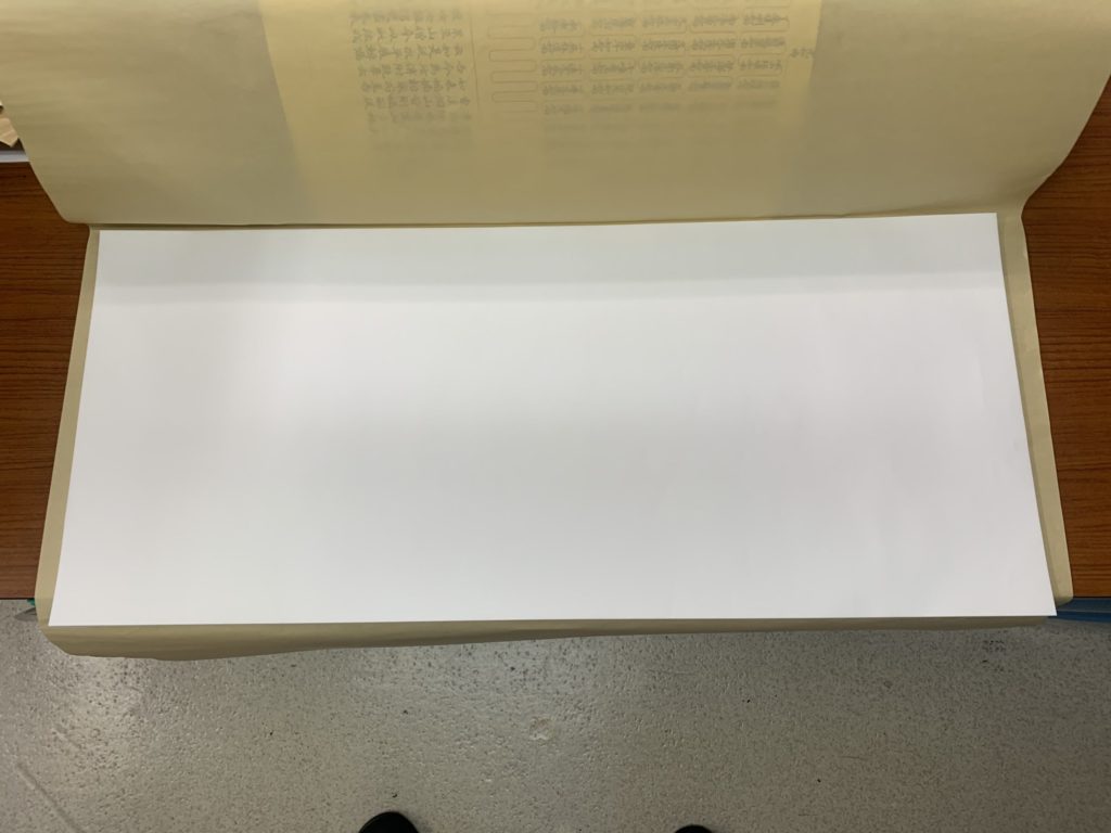 長い紙